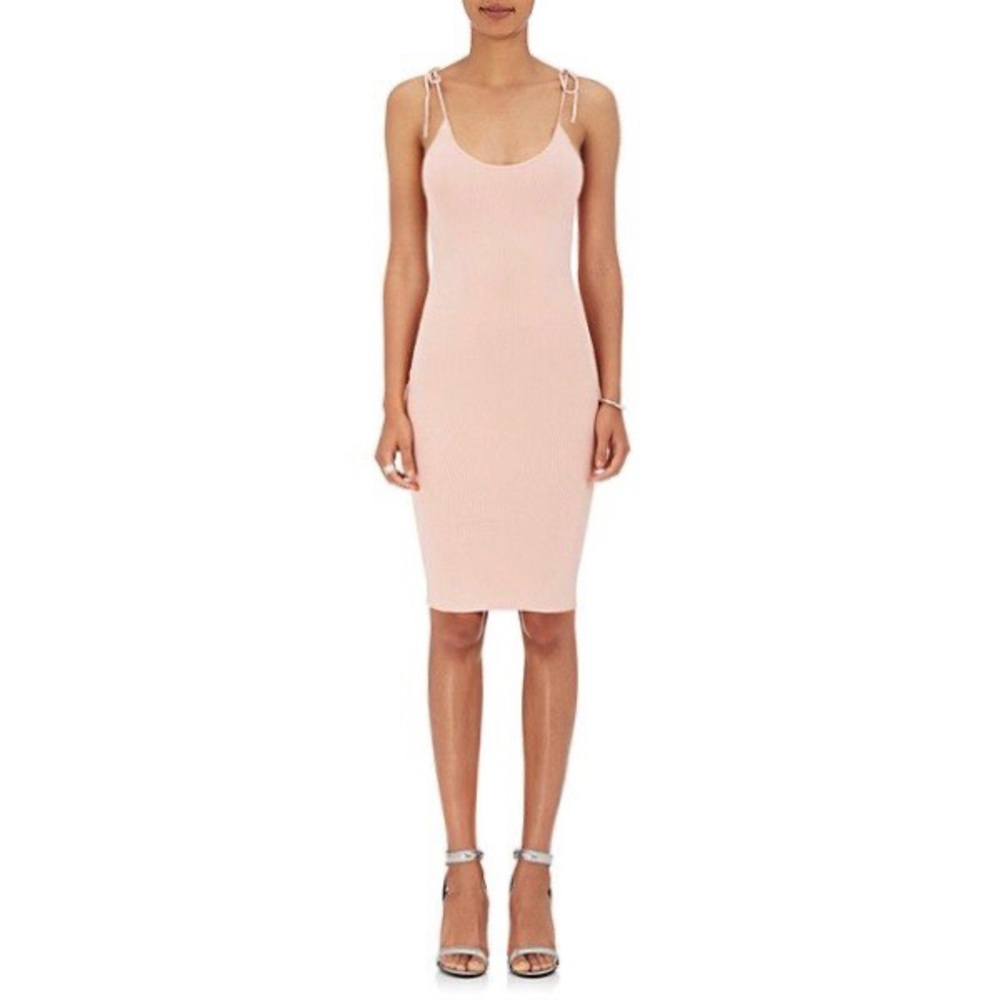 Alexander Wang Pink Knit Dress NWT